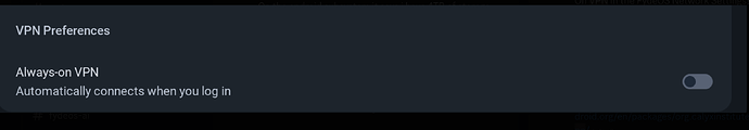 VPN