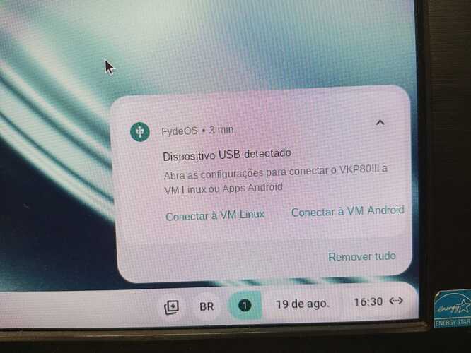 WhatsApp Image 2025-08-19 at 16.30.42